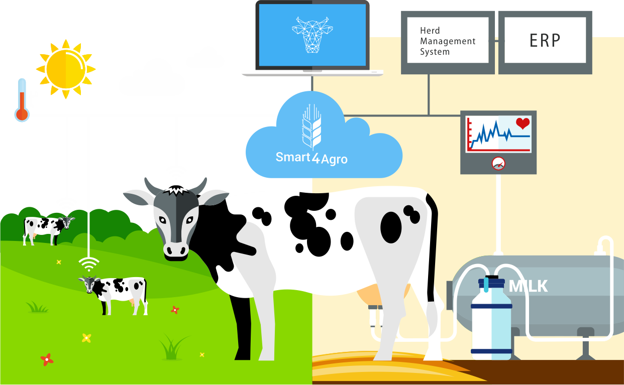 Une ferme laitière durable grâce à l'analyse de données