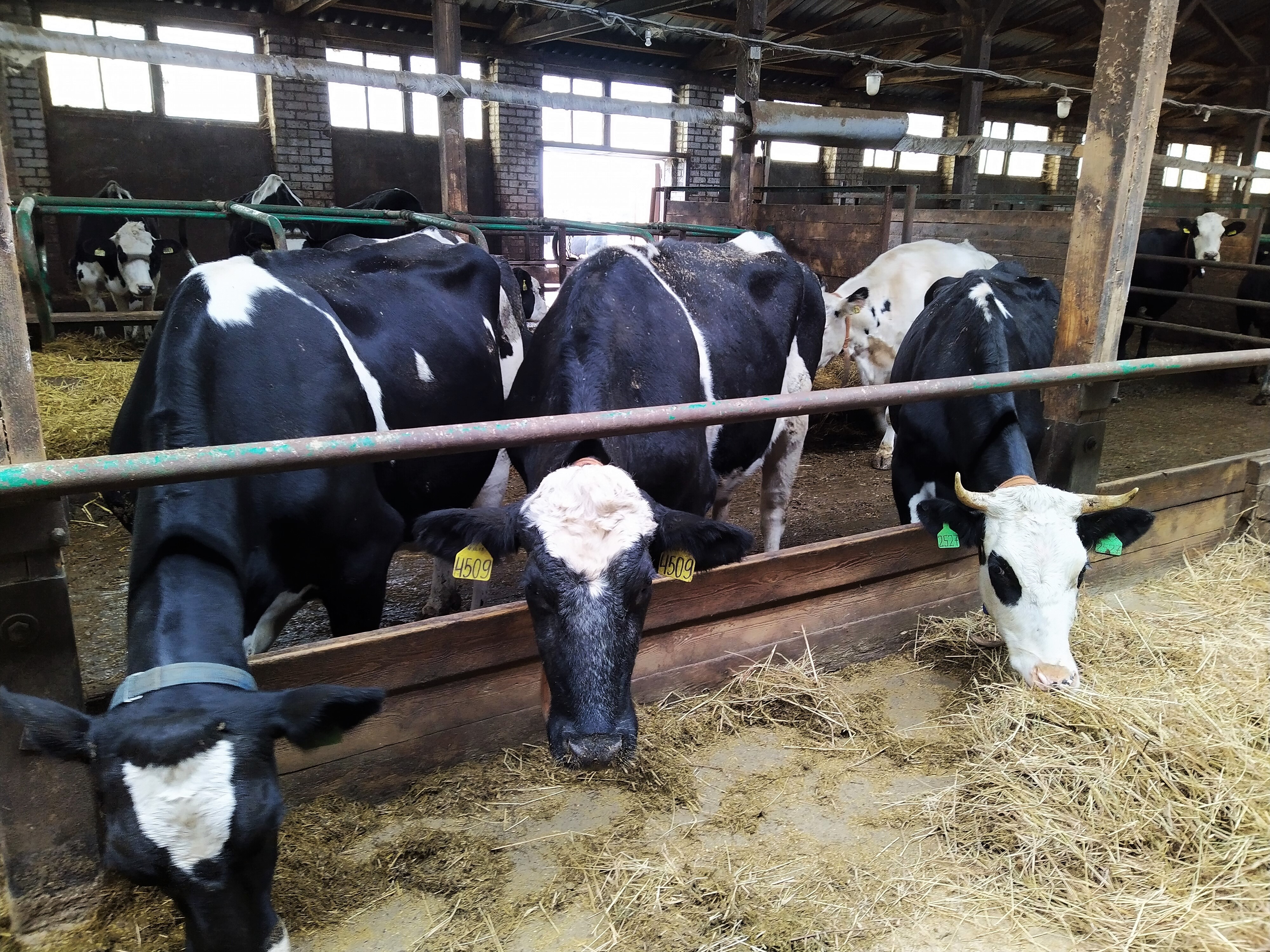 Modern farm audit - Smart4Agro