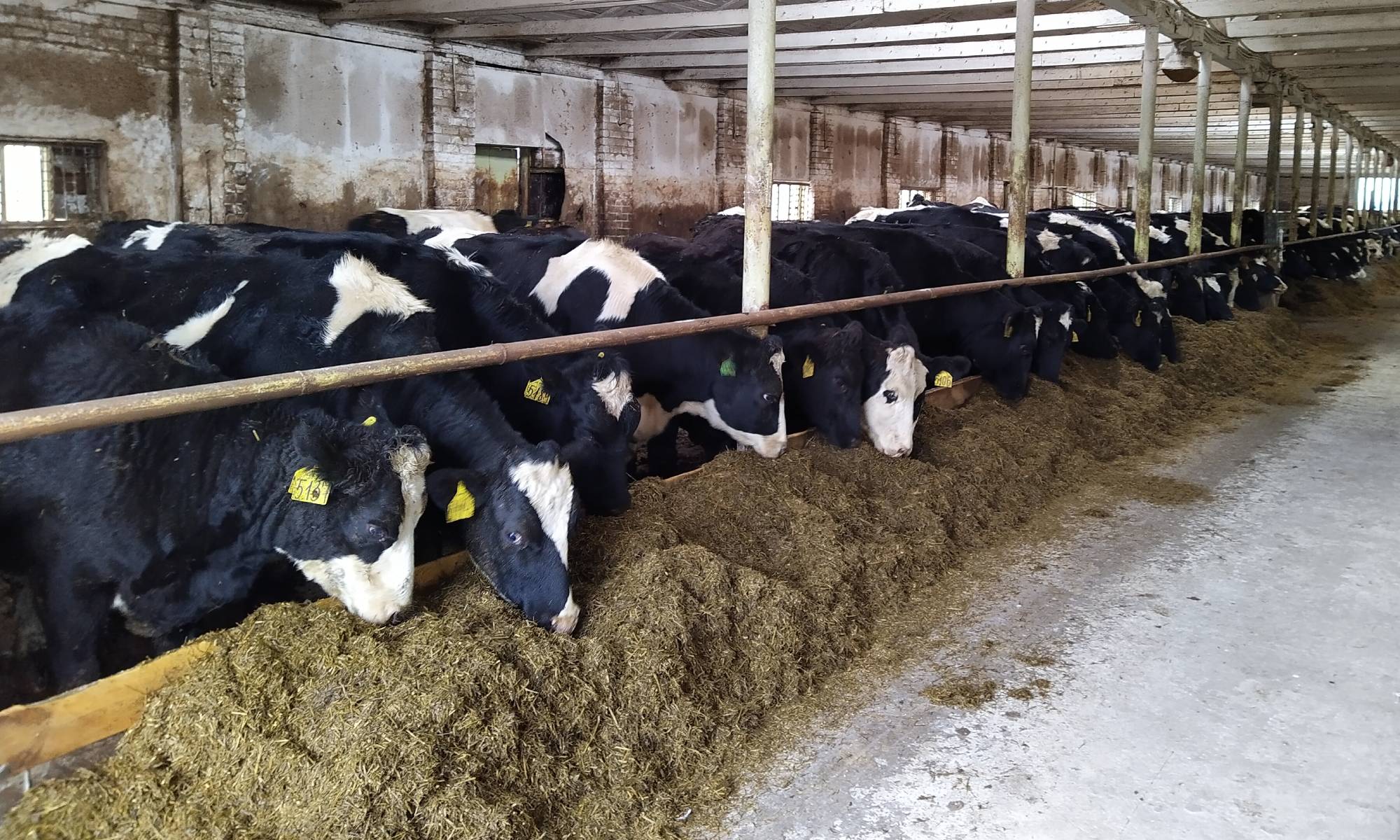 Which farms will benefit from digital analytics - Smart4Agro