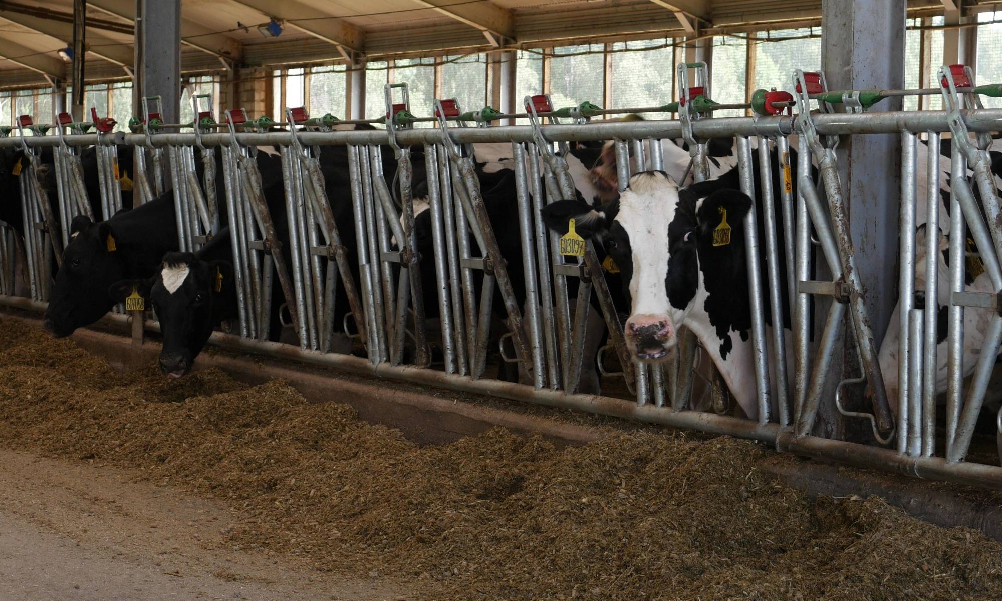Why does the farm need a Digital Twin? - Smart4Agro