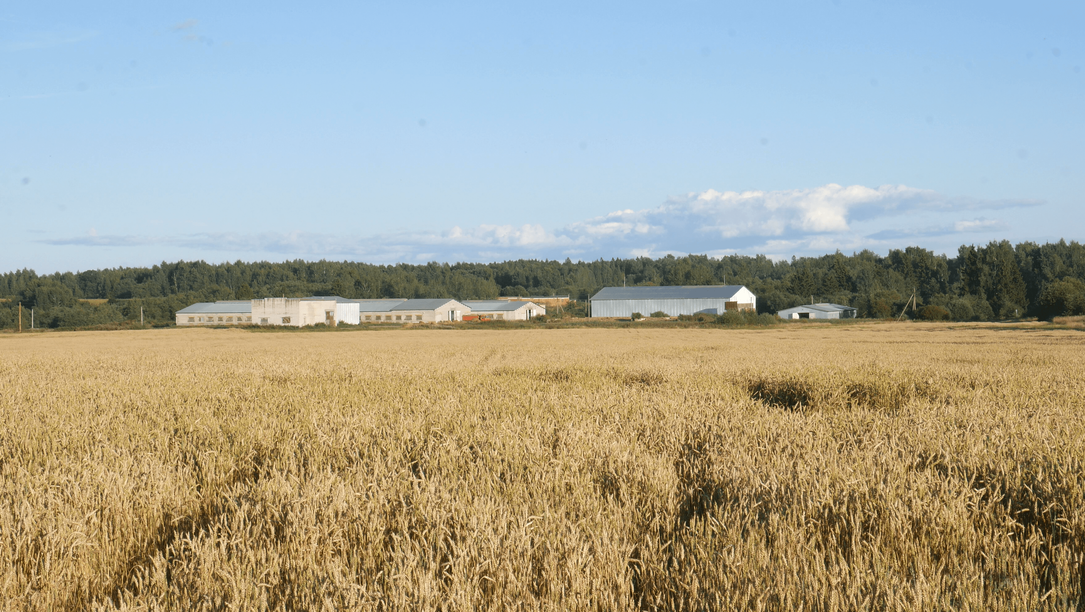 How to reduce greenhouse gas emissions on farm - Smart4Agro